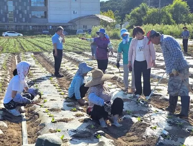 메인사진