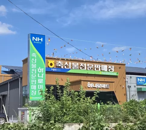 메인사진