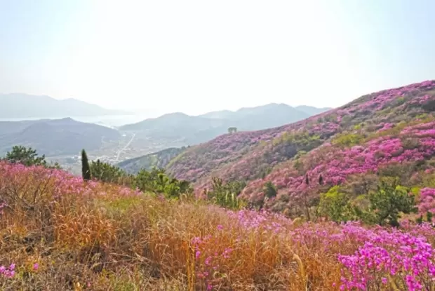 메인사진