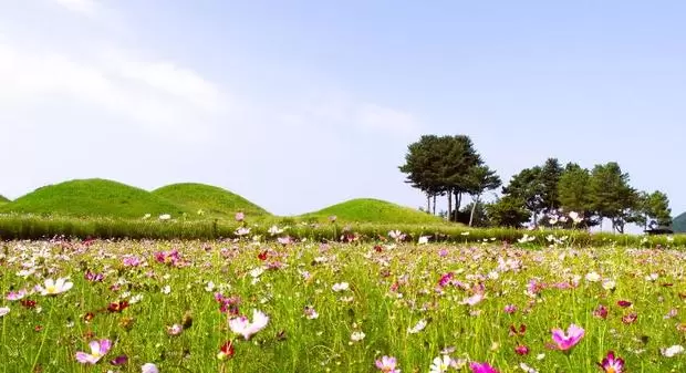 메인사진