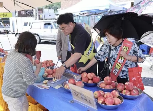 메인사진