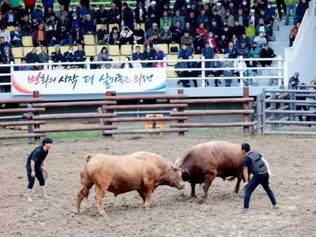 메인사진