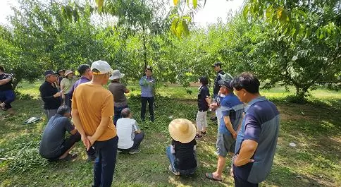 메인사진