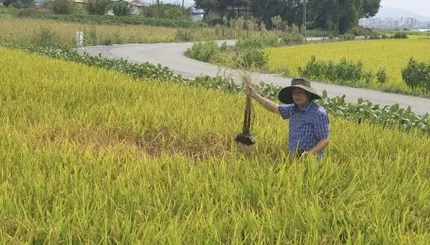 메인사진