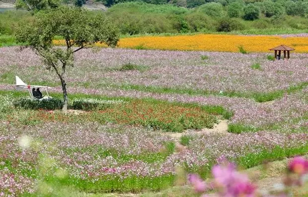 메인사진