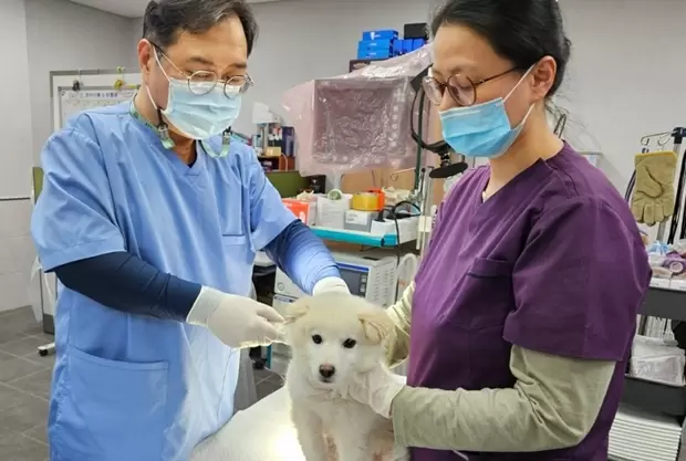 메인사진