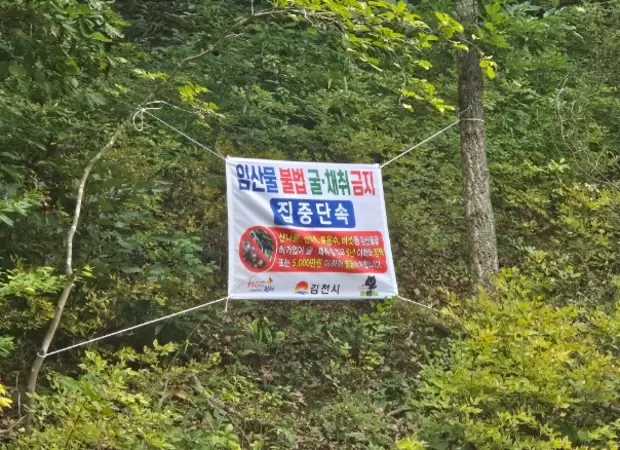 메인사진