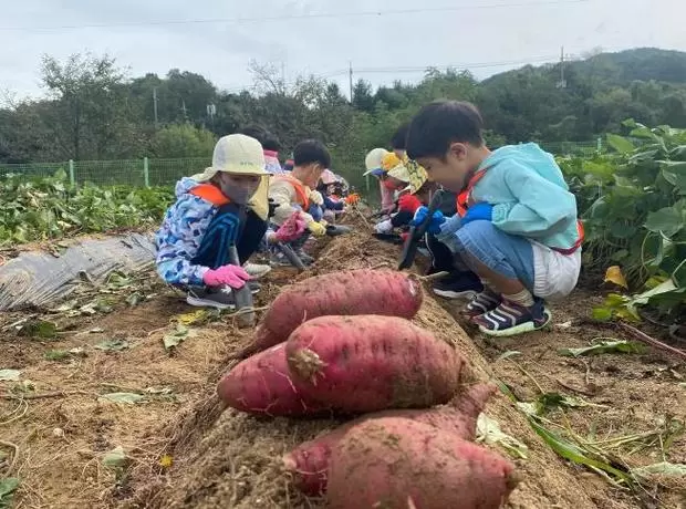 썸네일이미지