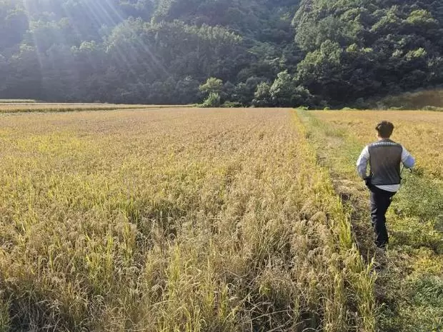 메인사진