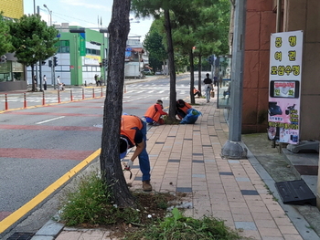 메인사진