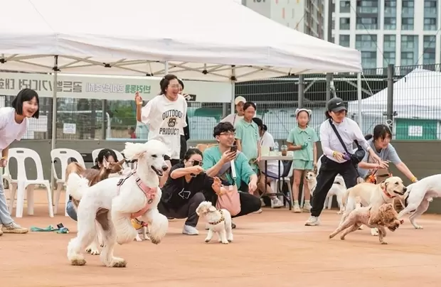 메인사진