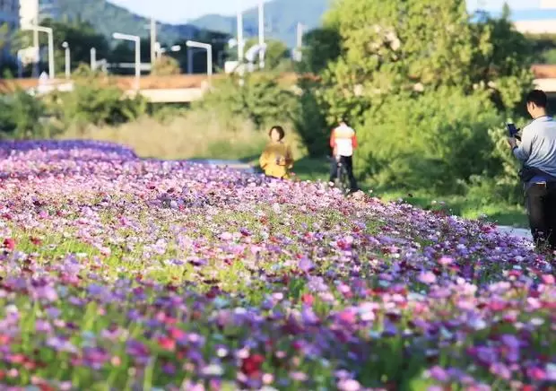 메인사진