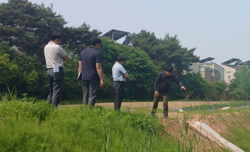 메인사진