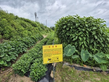 메인사진
