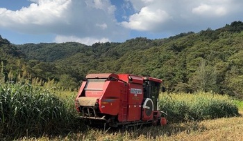 메인사진