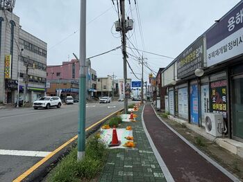 메인사진