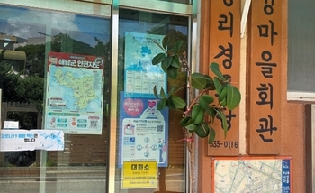 메인사진
