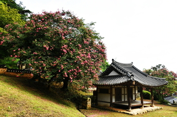 메인사진