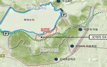 메인사진
