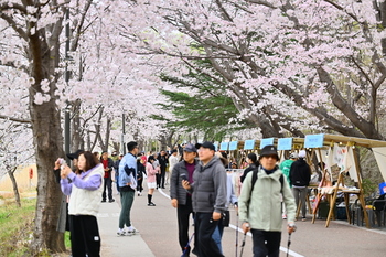 메인사진