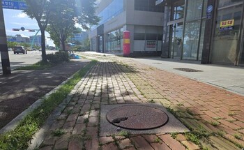 메인사진