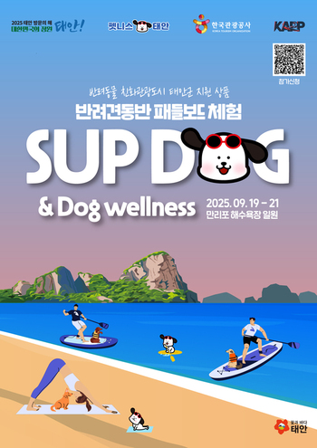 메인사진