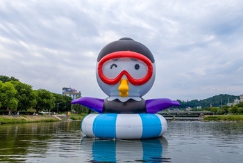 메인사진