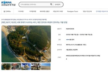 메인사진