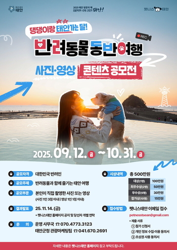 메인사진