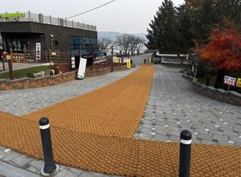 메인사진
