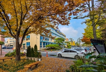 메인사진