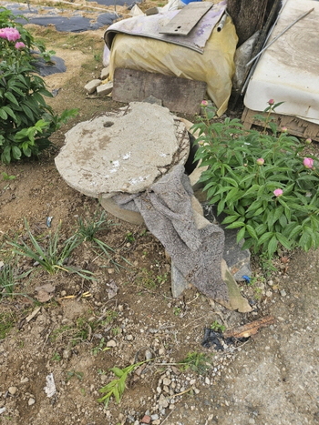 메인사진