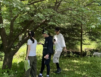 메인사진
