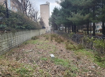 메인사진