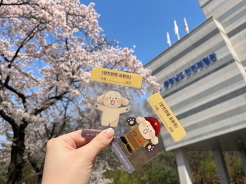 메인사진