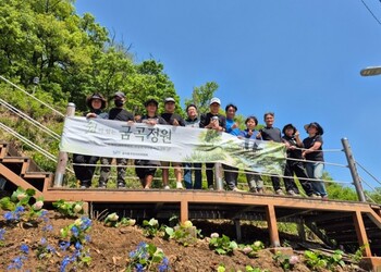 메인사진