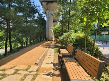 메인사진