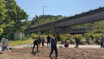 메인사진