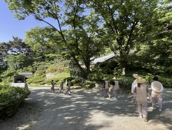 메인사진
