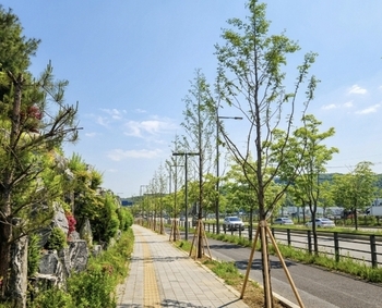 메인사진