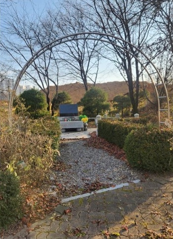 메인사진